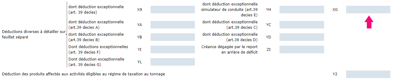 Capture d'écran de la liasse BIC IR / IS régime normal à la ligne XG du formulaire 2058 A